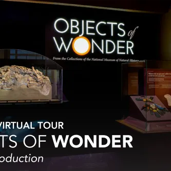Narrated Virtual Tour - Objects of Wonder - Exhibit Introduction