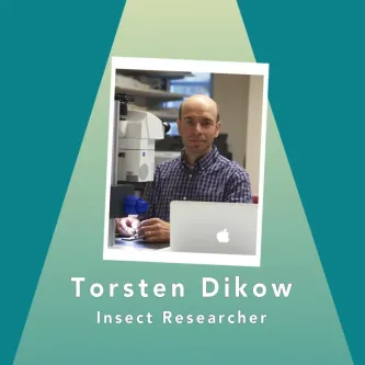 Torsten Dikow, insect researcher