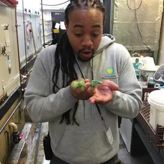 A medium-skin-toned man looking down at two small, green baby animals he is holding.