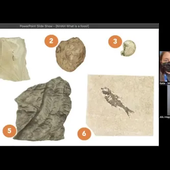 Video screenshot showing a presentation slide with six numbered objects on it; one looks like a large tooth.