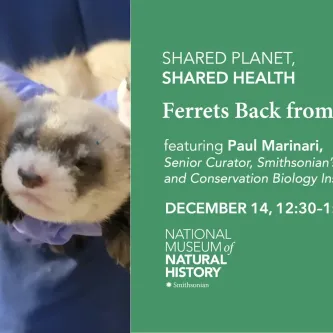 Text reads Ferrets Back from the Brink featuring Paul Marinari, shown next to photo of two black-footed ferret kits