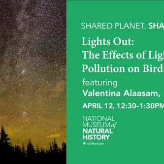 Image of the night sky and Milky Way with a yellow glow near the horizon, above some trees. Next to the image is a text panel that reads, "Shared Planet, Shared Health - Lights Out: The Effects of Light Pollution on Bird Health, featuring Valentina Alaasam, April 12