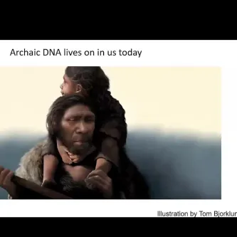 Presentation slide with text reading archaic DNA lives on in us today. Below the text is an illustration of an early human carrying a child on his back, holding a spear, and wearing an animal fur.