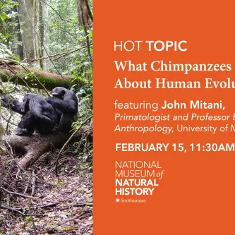 Presentation slide with a photo on the left of a bearded man in hiking clothes and baseball cap in a forest with two chimpanzees behind him. The right half of the slide has text reading, 'HOT Topic: What Chimpanzees Can Tell Us About Human Evolution, featuring John Mitani.'