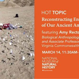 Dozens of small surveying flags in the ground in a dry, desert landscape. Most of the flags are white; a few are red and a few blue. Two people are kneeling and lying down while they insert more flags. To the right of this picture is some text reading, "HOT Topic: Reconstructing Environments of Our Ancient Ancestors featuring Amy Rector."