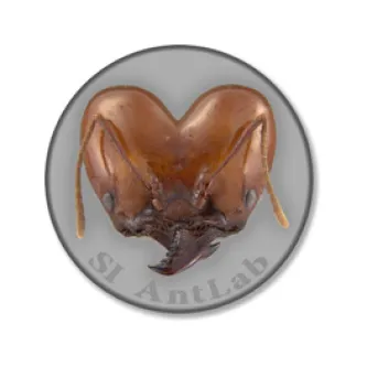 AntLab logo with image of an ant face