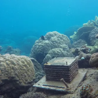 An autonomous reef monitoring structure sits on a coral reef. 