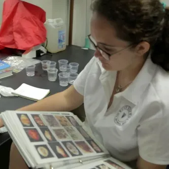 A girl holding a binder of species photos while reaching for a specimen in a plastic cup.