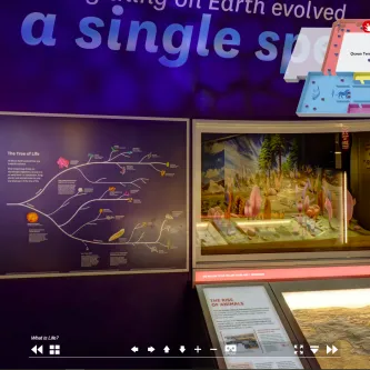 Exhibit wall with text about evolution and what is life
