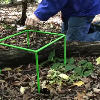 A person in blue jeans kneels in leaves next to a green biocube – a cubic-foot frame made of thin tubes – which straddles a log.