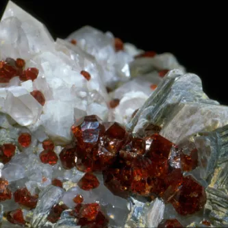 Deep red garnet crystals on white irregular surface