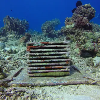 A wildlife collecting platform is shown on the ocean floor, slowly being covered in boatnical growth and corals