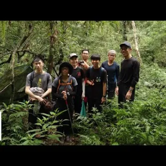Seven people standing in a lush, green forest