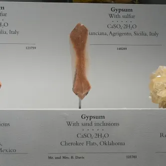 Thin piece of clear gypsum, with brown grains in it that form an hourglass shape. The gypsum in on a shelf in an exhibit case. Below it is a label reading, Gypsum with sand inclusions, CA SO4 H2O, Cherokee Flats, Oklahoma.