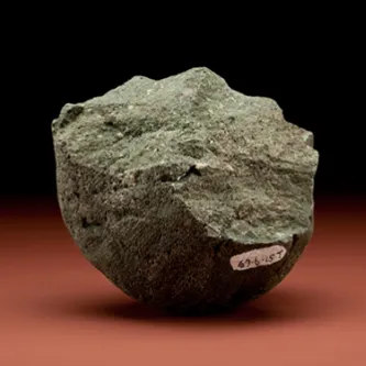 why does studying human evolution necessary essay Grayish-brown stone with a curved bottom and jagged top.
