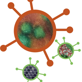 images of diseases on top of vector circles