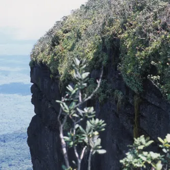 Guiana escarpment