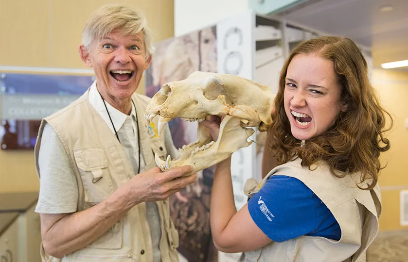 Two volunteers in Q?rius holding an animal skull with large teeth.