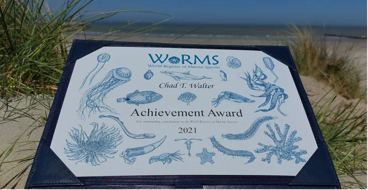 Printed award for Chad Walter placed on the beach