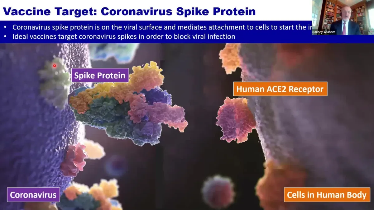 Video screenshot of spike protein on a coronavirus next to a cell in a human body.
