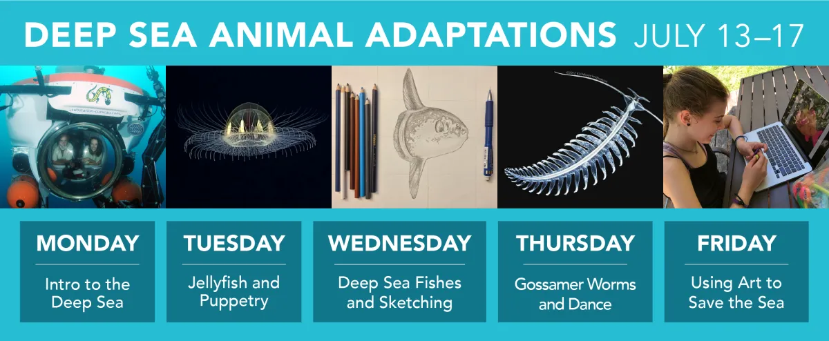 Schedule of topics for Deep Sea Adaptations session