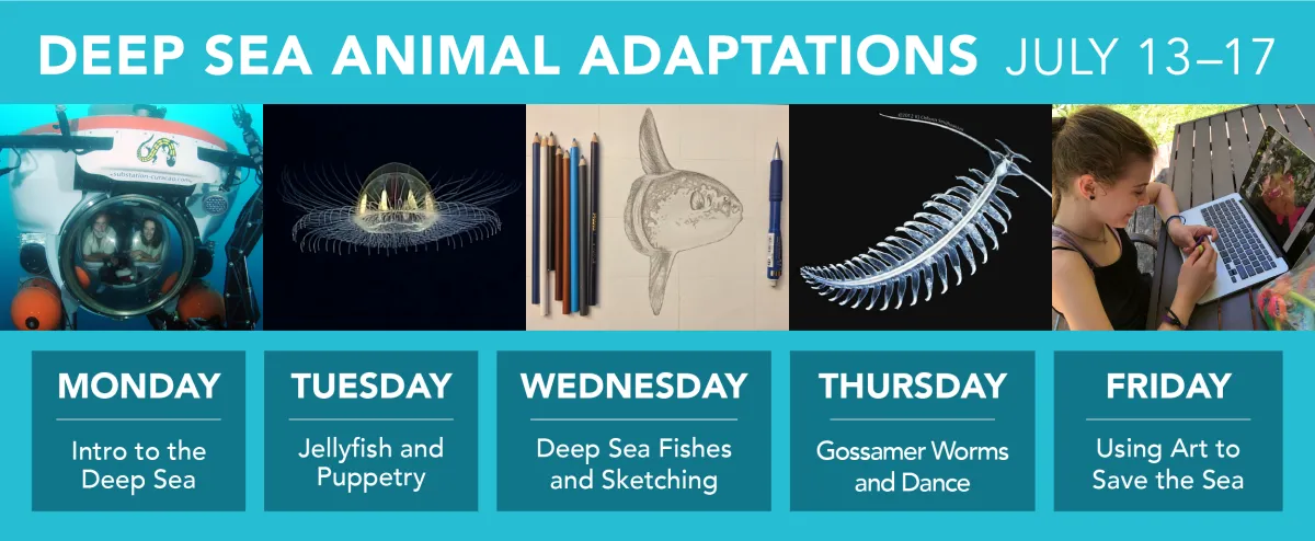 Deep Sea Animal Adaptations | Smithsonian National Museum of Natural History Deep Sea Animal Adaptations | Smithsonian National Museum of Natural History