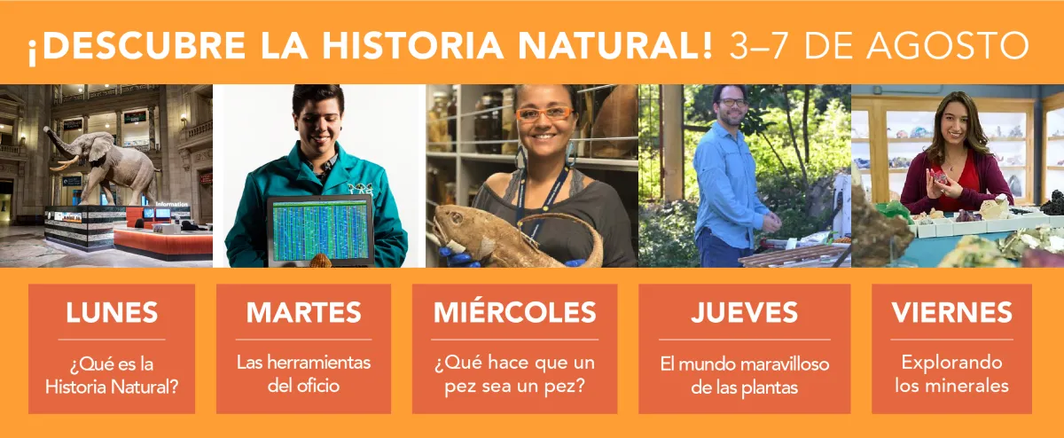Graphic showing calendar for week 3 of Summer Explorations program, ¡Descubre La Historia Natural! 