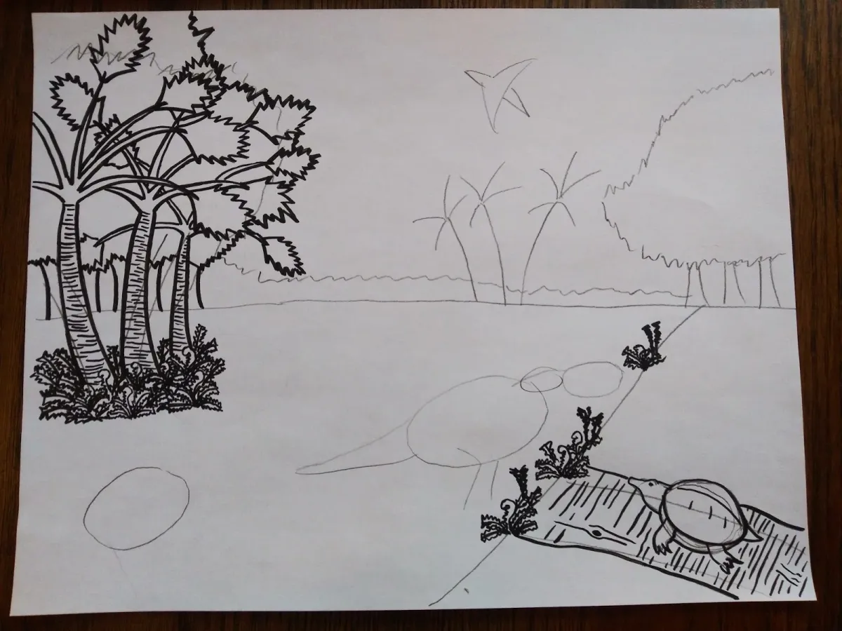Black and white sketch of a landscape in rough shapes, with palm trees, ferns, and a turtle drawn in more detail.