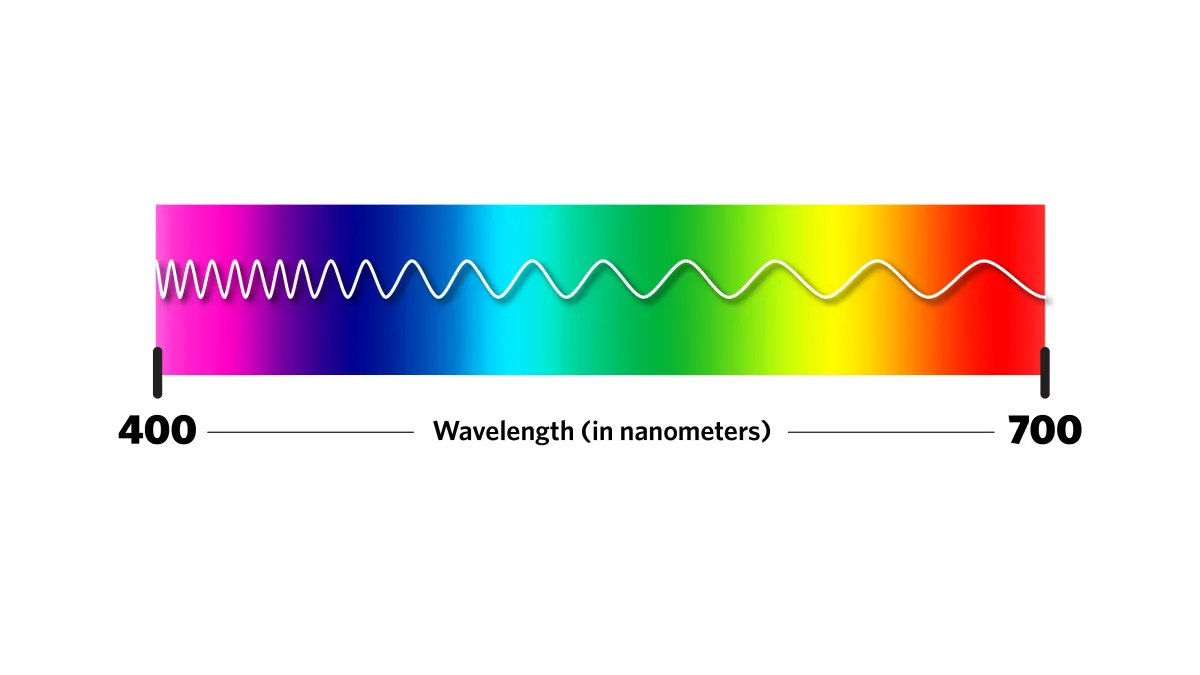 Spectrum of colors of visible light, from pink to red, with a scale from 400 to 700 nanometers beneath it.