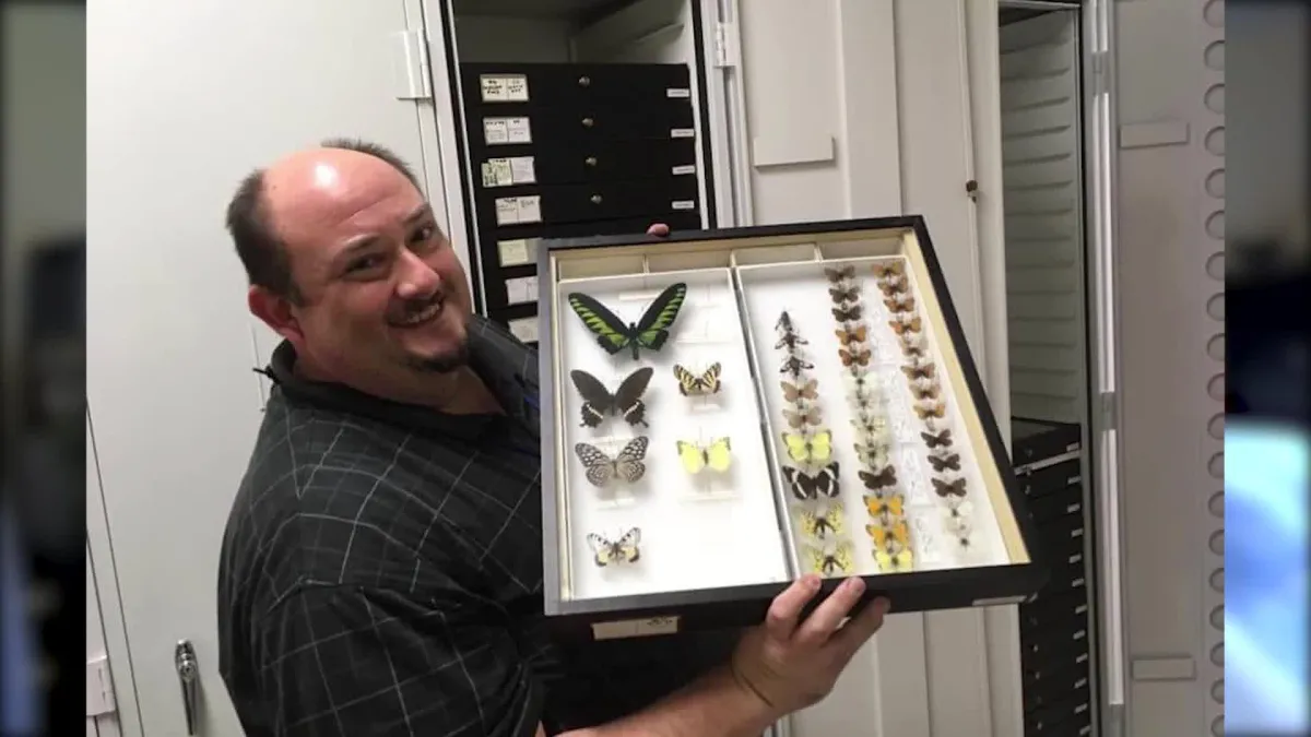Floyd Shockley holding up a collection case of pinned butterflies