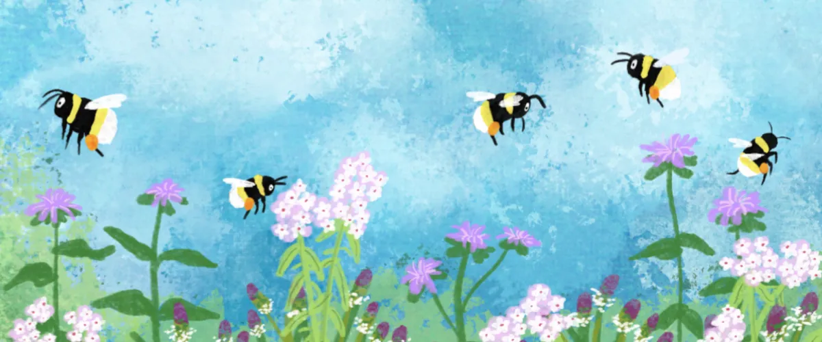 Illustration of five bumble bees flying over a field of white and purple flowers.