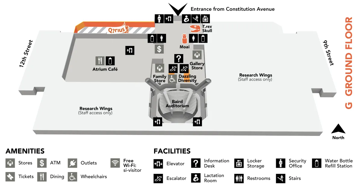 Map of the museum's ground floor, which has these exhibits: Berns Quartz, Dazzling Diversity, Moai, Q?rius Science Education Center, and T. rex Skull. Under the map is a list of amenities and facilities in the museum. Get more details in the text below.