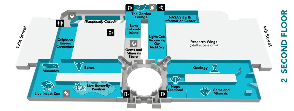 Map of the second floor of the museum, which has the following exhibits: Barro Colorado Island, Bones, Cellphone: Unseen Connections, Garden Lounge, Gems and Minerals, Geology, Hope Diamond, Live Butterfly Pavilion, Live Insect Zoo, Mummies, NASA's Earth Information Center at NMNH, and Lights Out: Recovering Our Night Sky. Get more details in the text below.