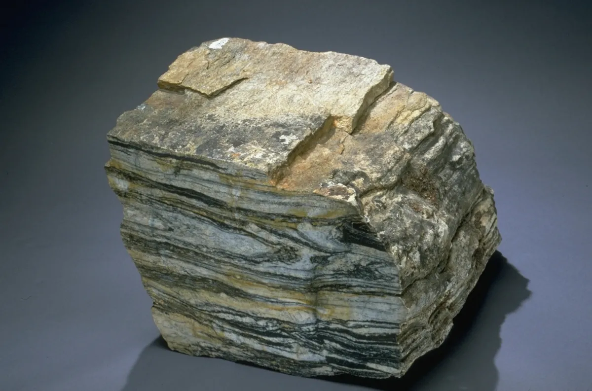 A banded tonalitic gneiss