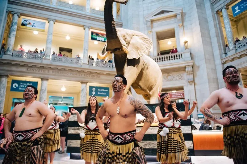A group of Māori individuals (Te Tini A Maui) performing Māori songs in the rotunda.