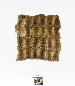Fur of a possum cloak.