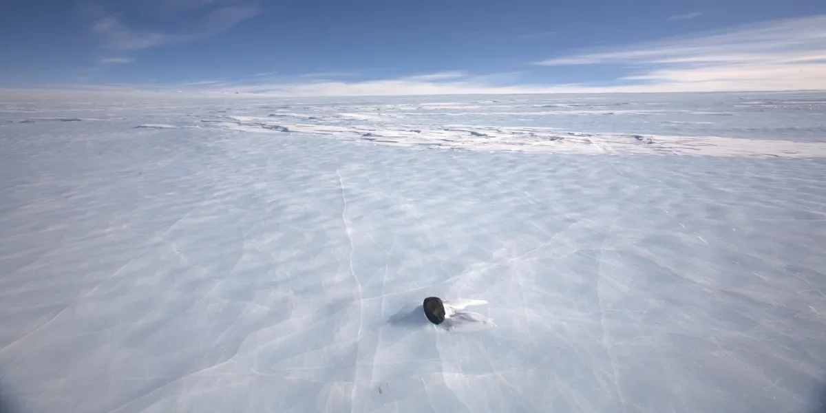 A meteorite on an Antractic ice field