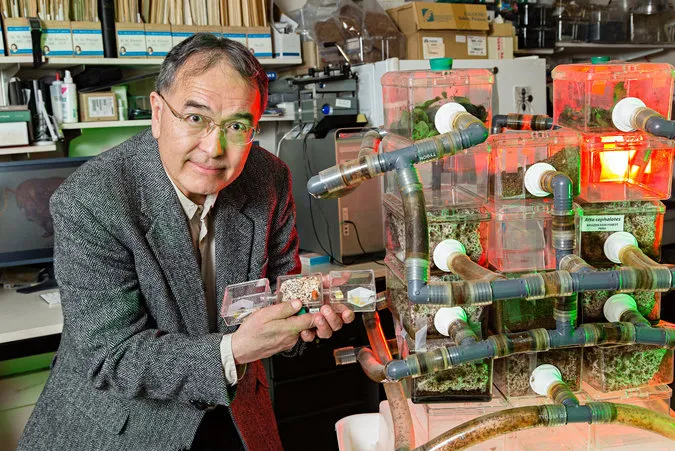 Entomologist Ted Schultz posing with the Ant Lab's leaf-cutting ant farm