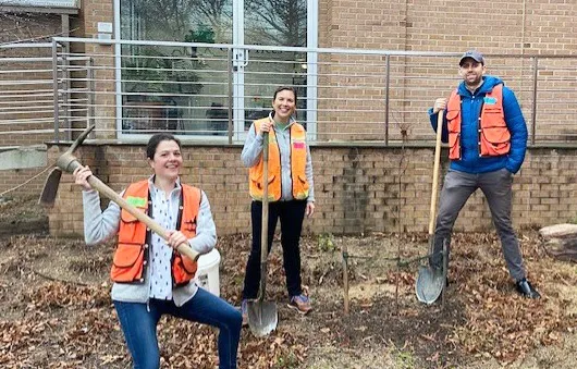 Two women and a man standing next to a newly planted tree. They are wearing safety vests and holding tools.