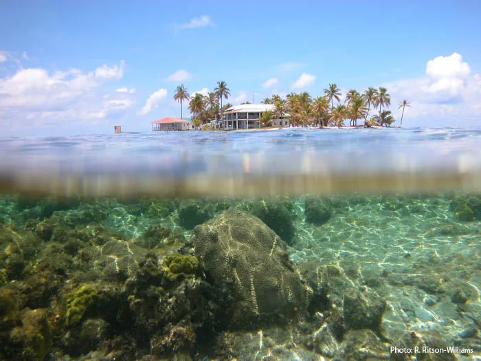 View of Carrie Bow Cay from the water