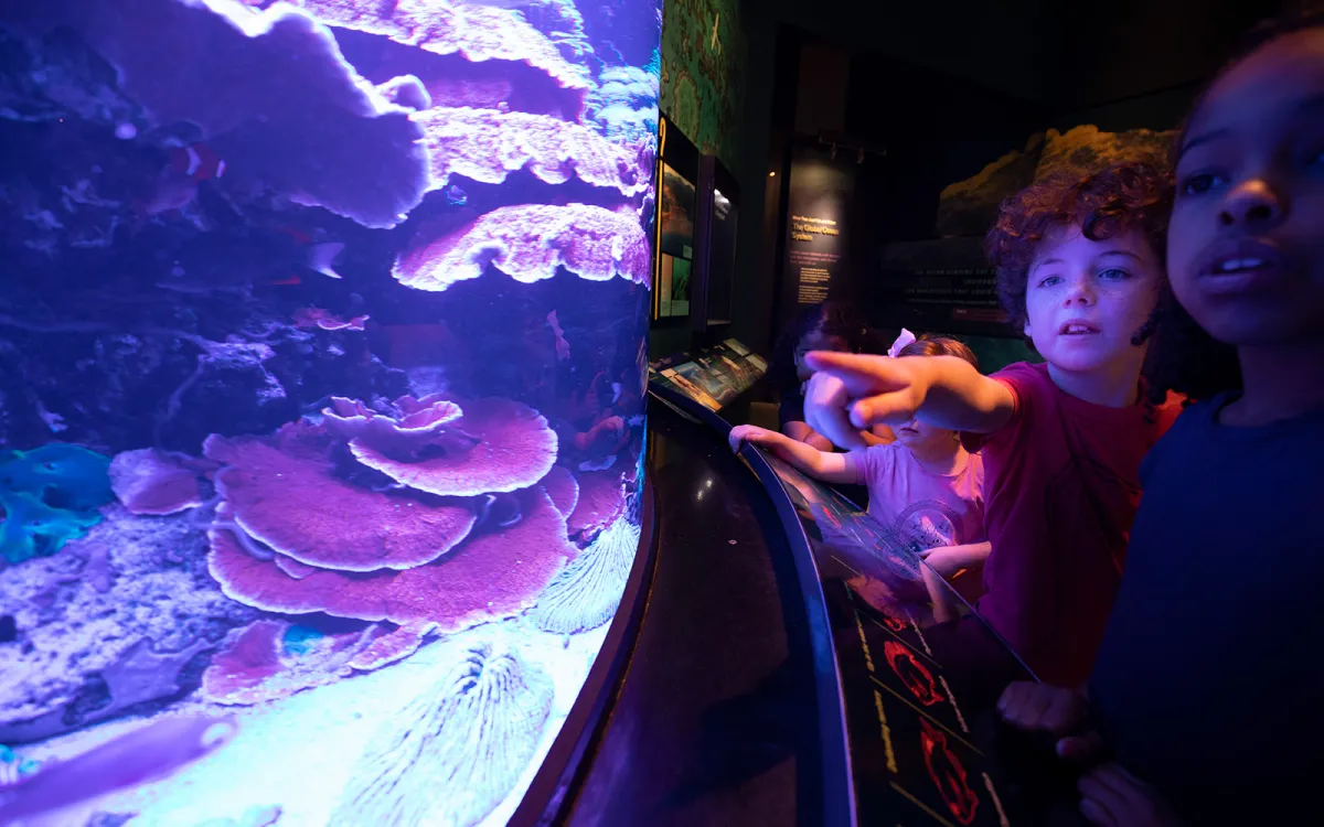 Two children in a dark exhibit hall looking at the coral reef fish tank which is right in front of them.