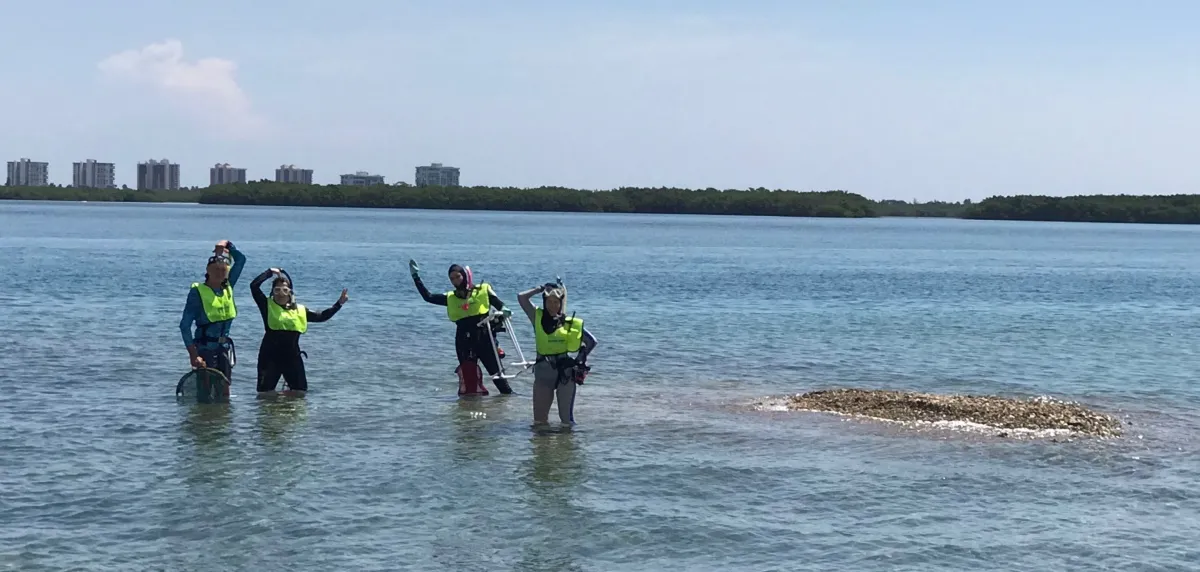 4 snorkelers collecting sponges
