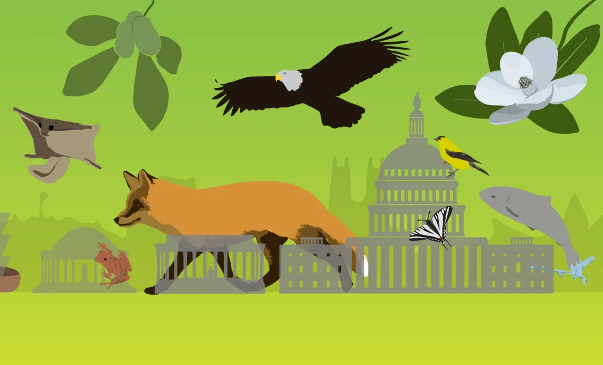 Illustration of animals and plants -- including a red fox, birds, whale, flying squirrel -- in front of the U.S. Capitol building