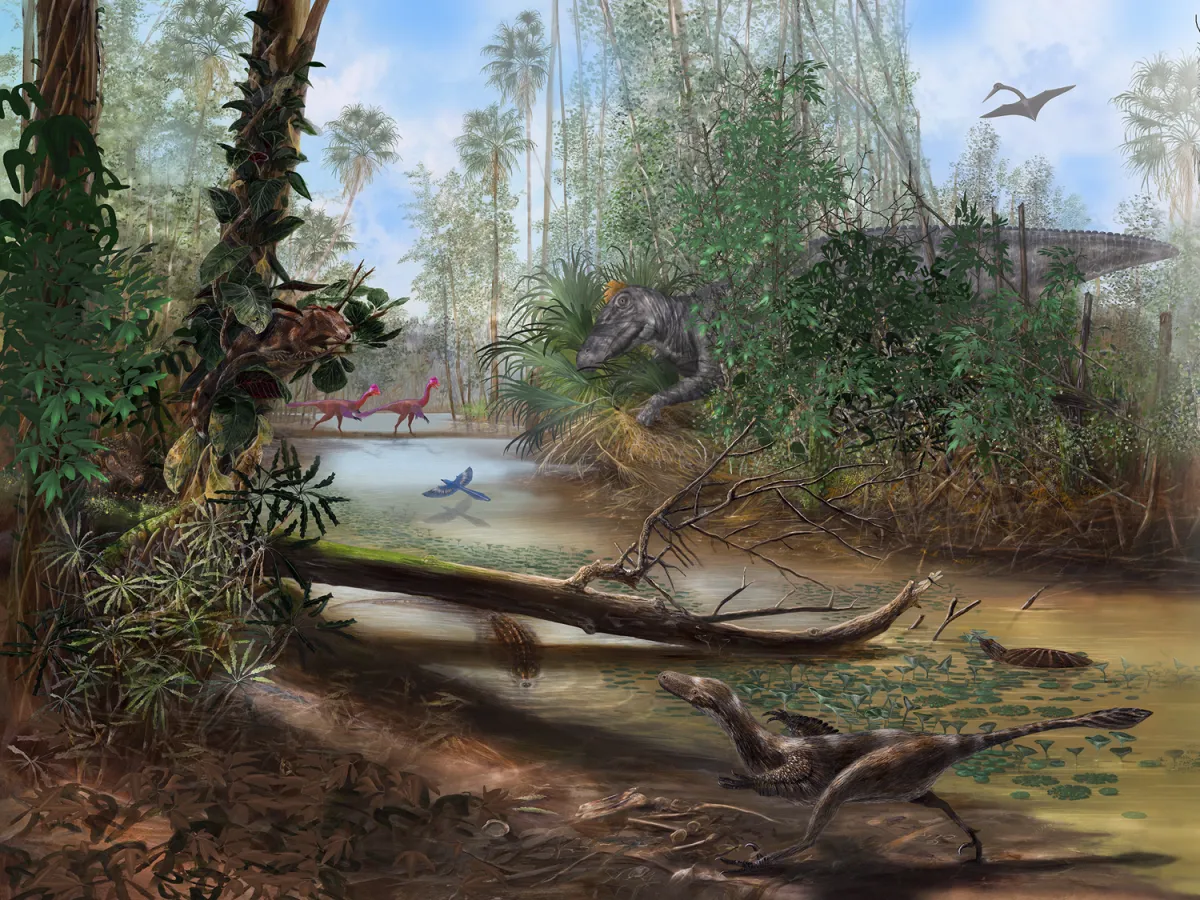 Color illustration of animals near and in a river in prehistoric times, including a dinosaur, birds, a turtle, and more