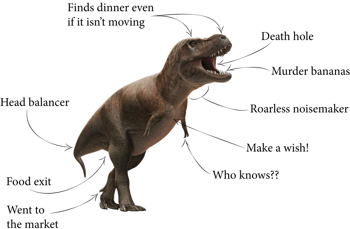 A Tyrannosaurus rex model with unscientific descriptions of its anatomy. 