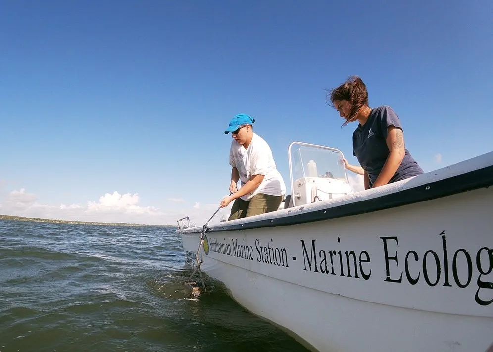 two female biologists look over the side of the boat as one of them pulls up a sampling tool from the water