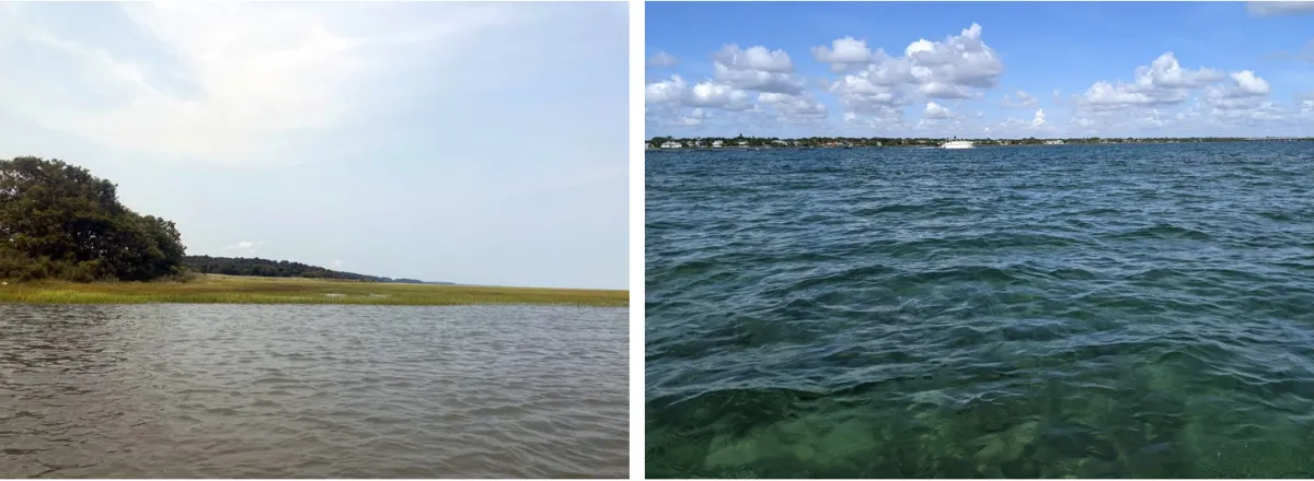 landscape view of a brownish creek with a fringe of green saltmarsh grass and an oak tree and landscape view of clear, tropical water in foreground, and a white boat and houses along the shore in the distant background