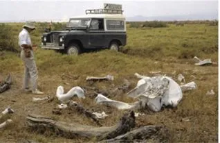 image depicts an open plain with scattered bones and a person in the foreground and a truck in the background