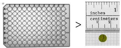 Extraction Plate with Size