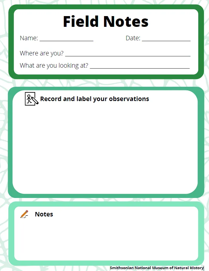 Field Book Activity: Making and Recording Observations